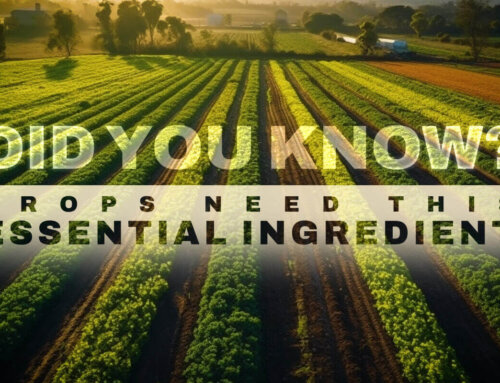 Did You Know? Crops Need this Essential Ingredient